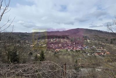 Spațiu comercial, în Secăria - 12