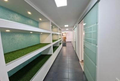 Spatiu comercial individual - Baba Novac - 3