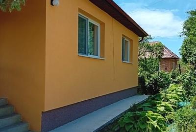 Casă individuală cu 4 camere cu Teren 1997 Mp în Mica - 11