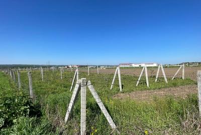 Teren intravilan agricol 6215mp cu utilitati in Racari, jud. Dolj - 1