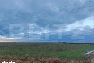 Teren de 390000 mp, în Iosefin - 10