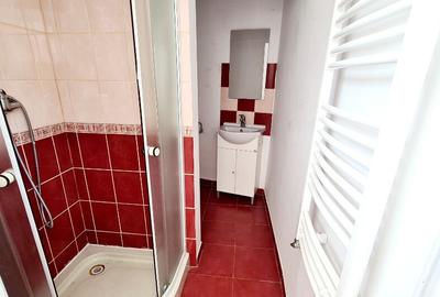 Inchiriez spatiu comercial zona Centrala - ID : RH-42920-property - 22