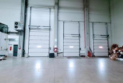 Hala industriala 2400 mp, Calea Lugojului - 7
