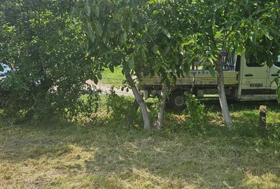 Spațiu comercial, în Boju - 3