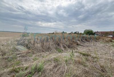 Teren Construcții intravilan de 1769 mp, în Bicaci - 3