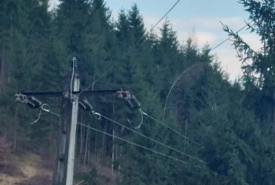 Teren Construcții intravilan de 10000 mp, în Albac - 1