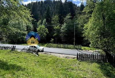 Teren 5777 mp in comuna Ceahlau - 2