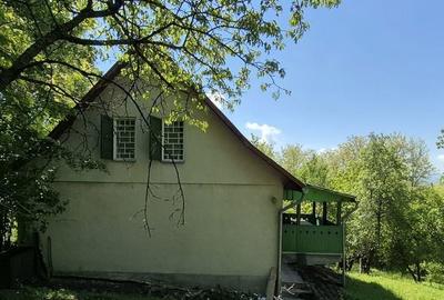 Casă cu 4 camere cu Teren 7400 Mp în Cicârlău - 2