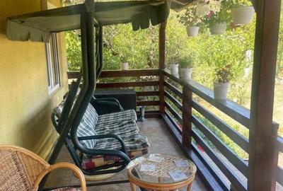 Spațiu comercial, în Rădaia - 3