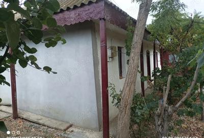 Casa batraneasca Chilia Veche - 3