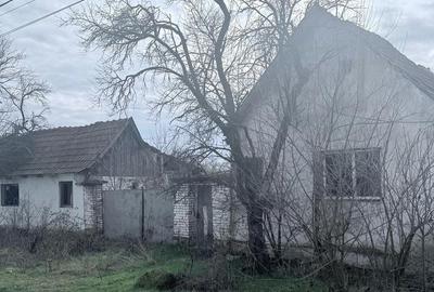 Casă cu Teren 1388 Mp în Răpsig - 3