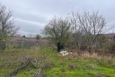 TEREN DE VANZARE PROGRESULUI-GiURGIULUI 5600 MP - 5