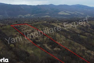 Teren de 14328 mp, în Nucșoara - 1