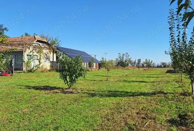 Casa de vanzare Vasilati Calarasi cu teren 2632 mp - 3