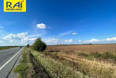 Terenuri cu deschidere 20m la Centura in suprafata  de 5950 mp si 6481 mp - 2