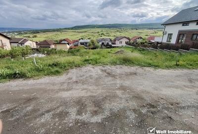 Teren Construcții intravilan de 616 mp, în Iris - 3
