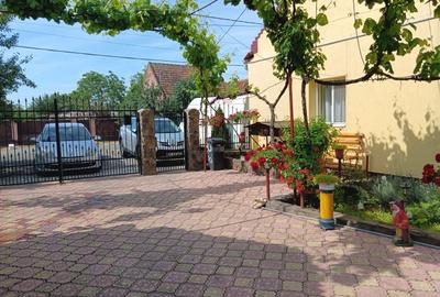 Casă cu 4 camere cu Teren 1500 Mp în Ineu - 14