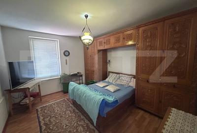 Domeniu de vanzare cu 17.000 mp teren, sat Oboga - 13