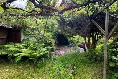 Casa / Vila cu 3 camere de vanzare in zona Vest - 5