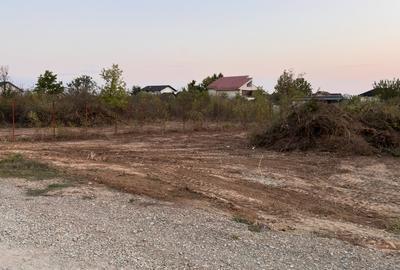 Teren intravilan Mogosoaia 1290 mp(2 loturi- 509 mp și 781mp) - 2