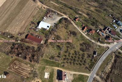 Teren de 6650 mp, în Remetea Chioarului - 11