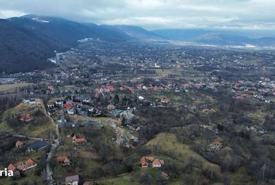 Spațiu comercial, în Bran - 9