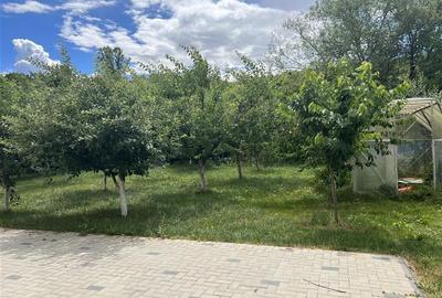 Casă individuală cu 5 camere cu Teren 400 Mp în Dâmbul Rotund - 17