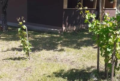 Casă cu 2 camere în Moșteni - 1