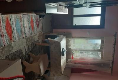 Casă cu 3 camere cu Teren 1930 Mp în Tulgheș - 3