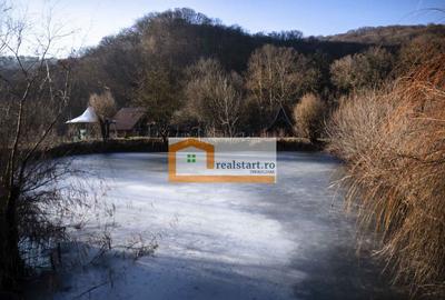 Centru Evenimente, Afacere la cheie, Restaurant cu MiniPe... Centru Evenimente, Afacere la cheie, Restaurant cu MiniPe... - 18