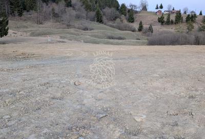 Teren Construcții intravilan de 551 mp, în Colibița - 8