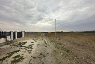 Teren de 606mp | Remetea Mare - 4