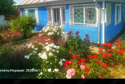 Casă cu 4 camere cu Teren 1900 Mp în Central - 1
