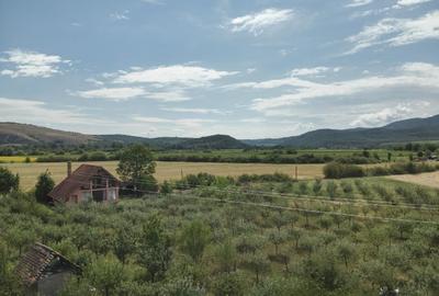 Vând loc de casă cu livadă cu suprafata de 1100 mp situat in loc. Buteni - 3