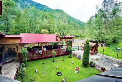 Casa de vacanta / Pensiune / Voineasa - 12