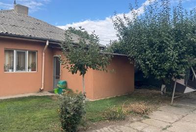 Ansamblu 2 Case Solide (Fundație Beton 2 m + Zidărie Cărămidă), 1.849 mp Teren, - 5