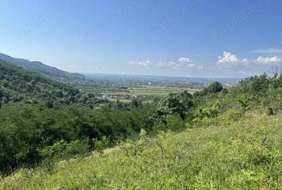 Casă cu 4 camere în Central - 4