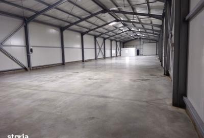 Spațiu comercial, de 600 mp, în Brazi - 8
