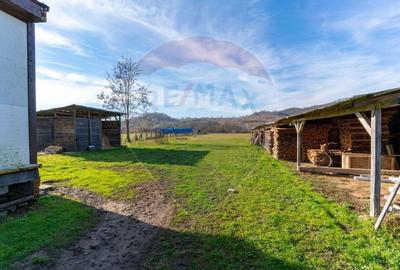 Spațiu industrial, de 650 mp, în Ribița - 12