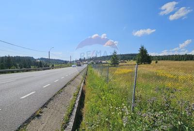 Teren partial intravilan 30,930 mp Poiana Stampei-DN E58, Suceava - 3