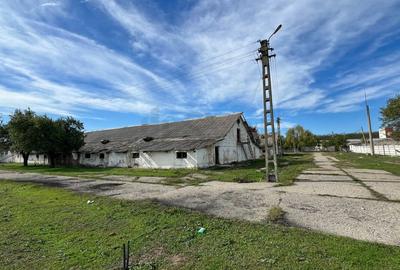 REC3001167 Hala industriala 18500mp Scornicesti-Olt - 5