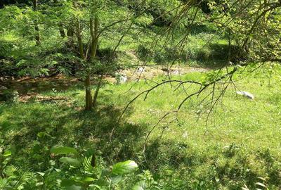 Spațiu comercial, în Central - 3