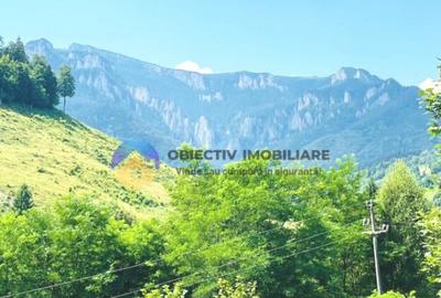 TEREN Izvoru Muntelui, langa orasul BICAZ - 2