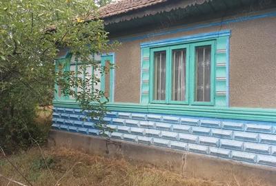 Casă cu 4 camere cu Teren 5000 Mp în Drăgănești - 10