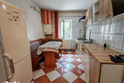 Apartament cu 2 camere semidecomandat în Mioriței