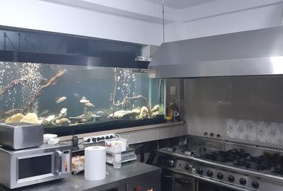 Vila cu 16 camere, ideala pentru azil de batrani sau turism - 22