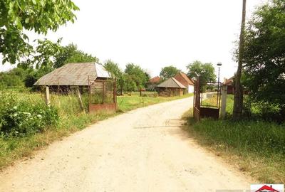 Casa cu teren 4,3 hectare in Livada ( ID 22148) - 8