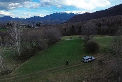 Spațiu comercial, în Tohănița - 1