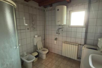 Teren Construcții intravilan de 3000 mp, în Mogoșoaia - 12