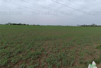 TEREN 10000 MP, ZONA SERE - 6